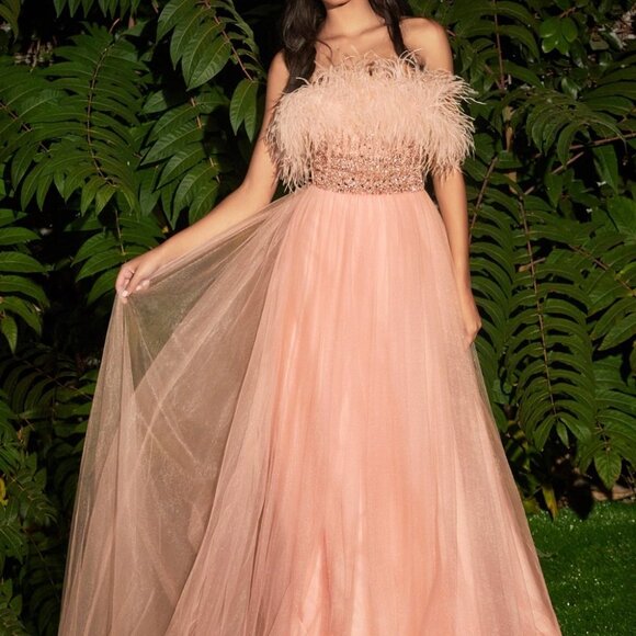 Cinderella Dresses & Skirts - BLUSH PROM PARTY EVENING A-LINE FORMAL STRAPLESS FEATHER BALL GOWN CDCR864